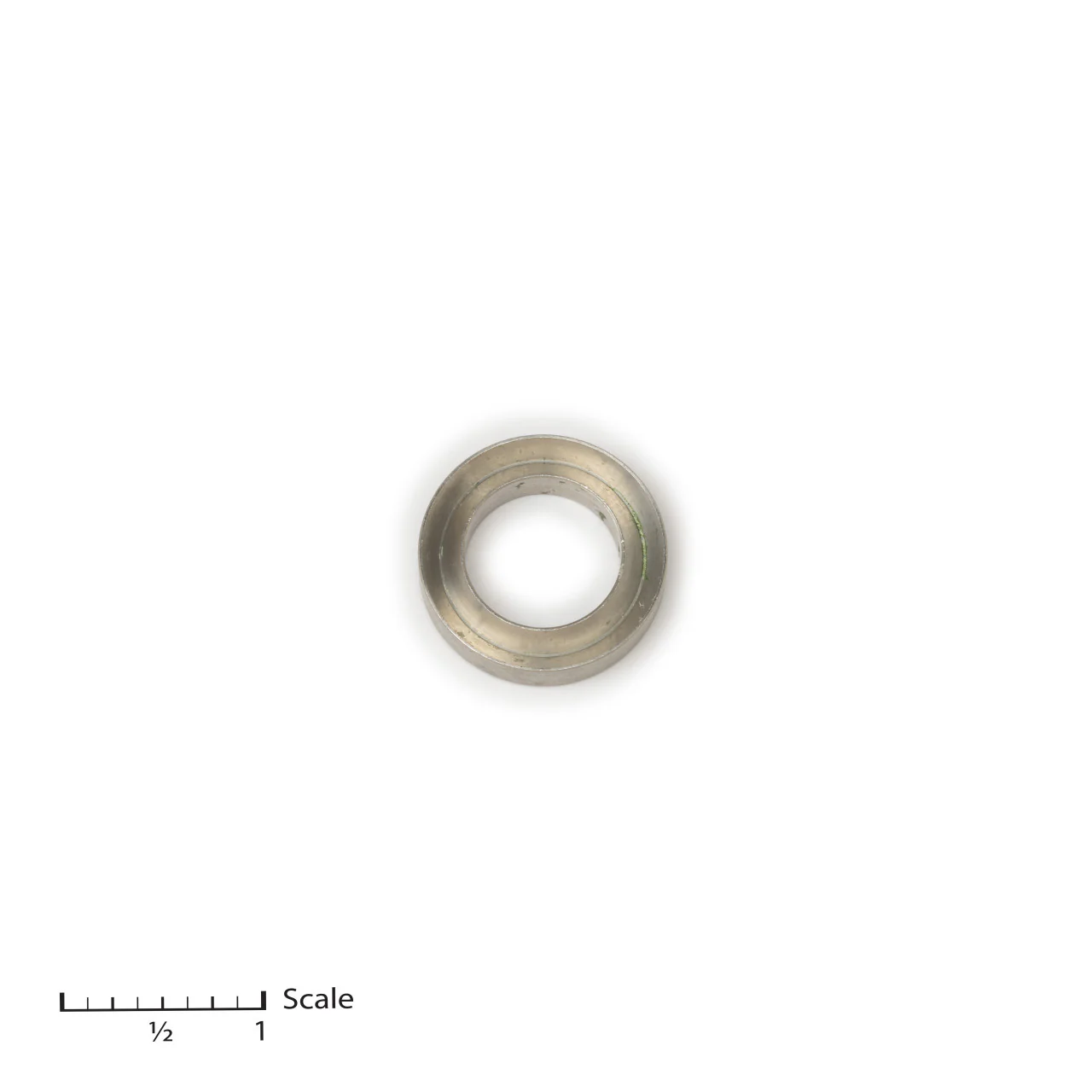 Support Ring, Female Gland