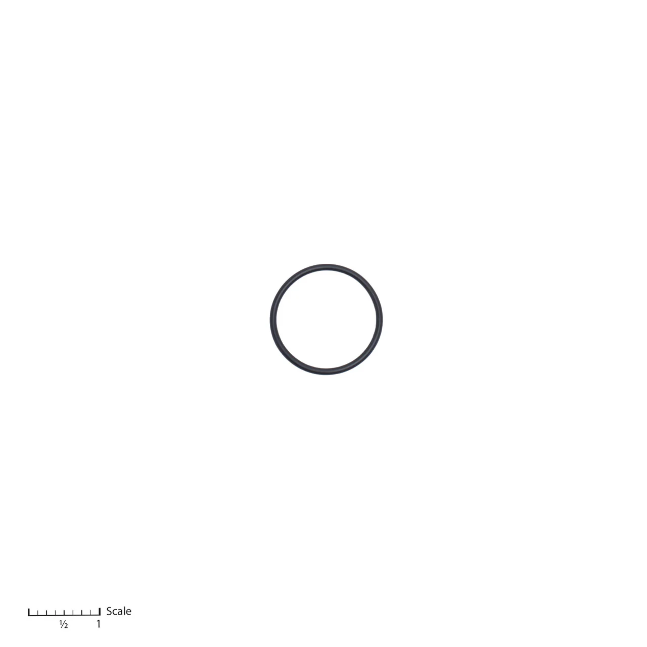 O-Ring