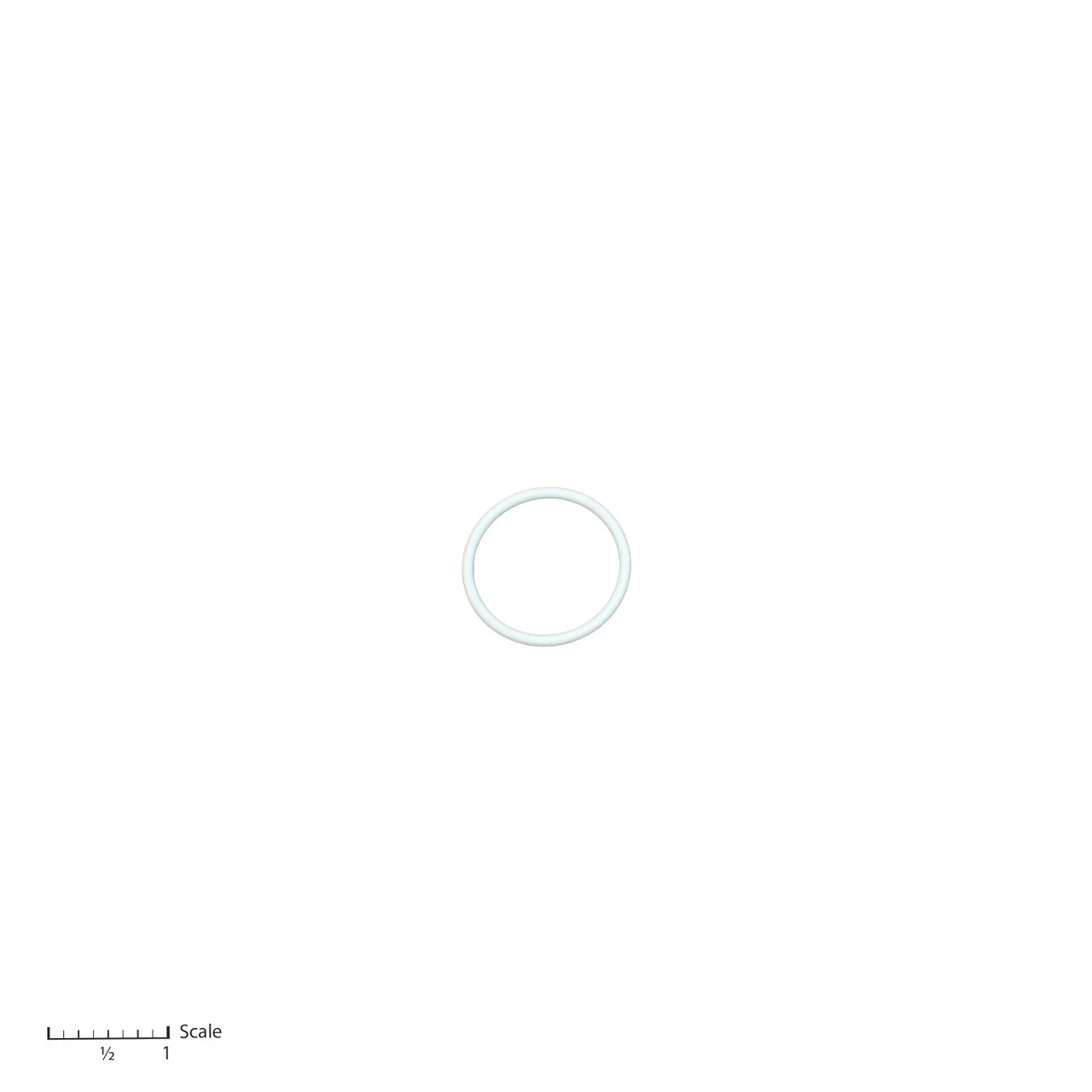 Teflon O-Ring