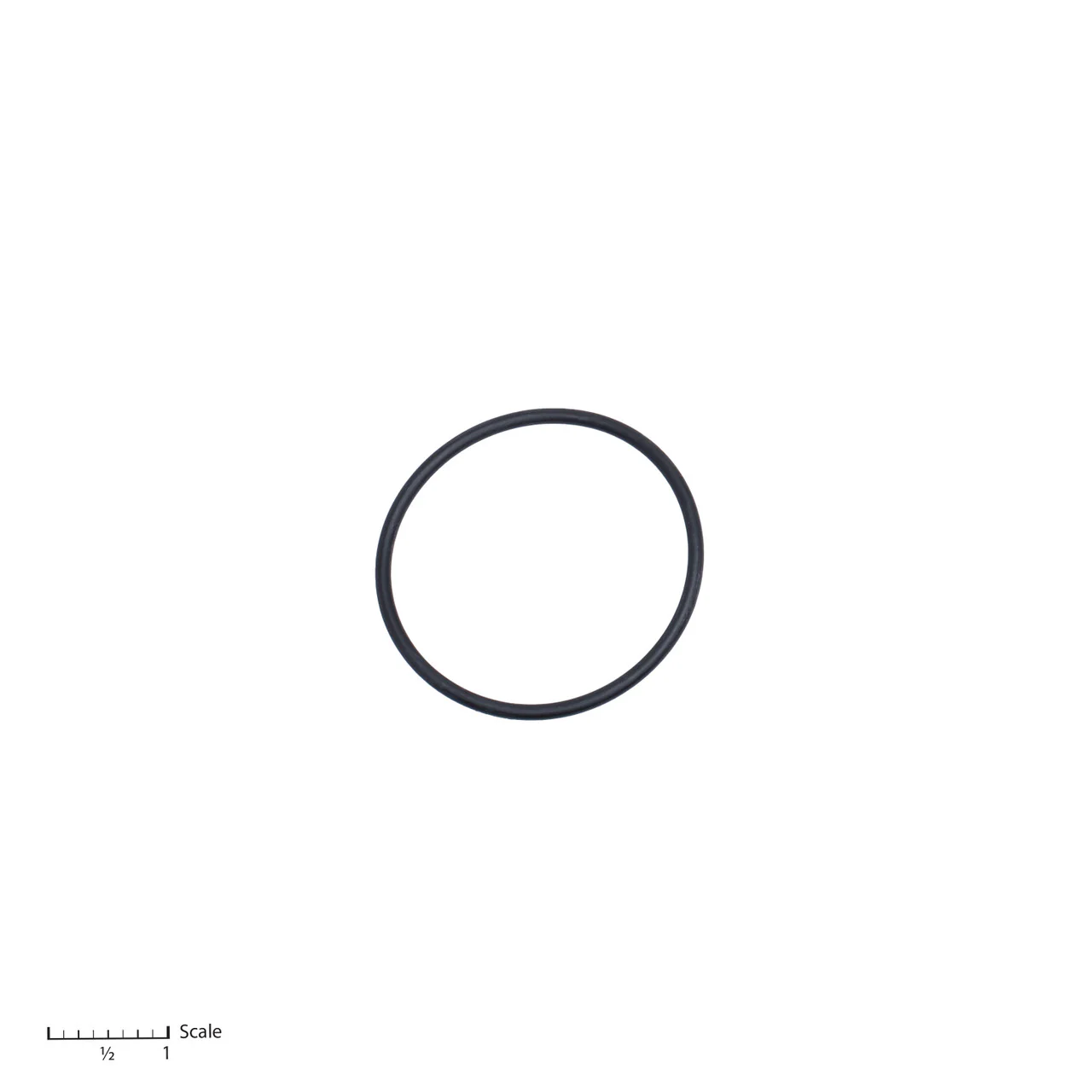 O-Ring