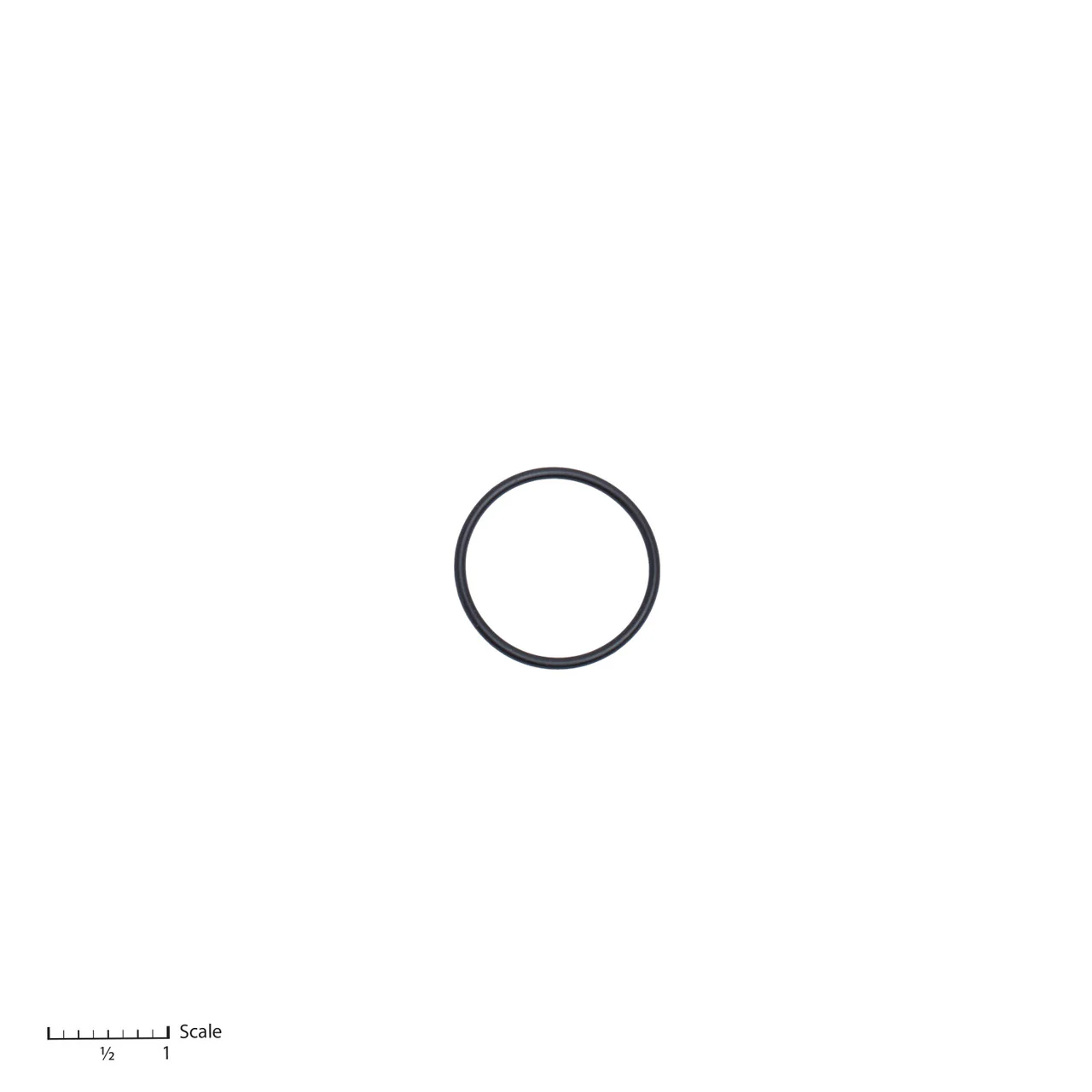 O-Ring