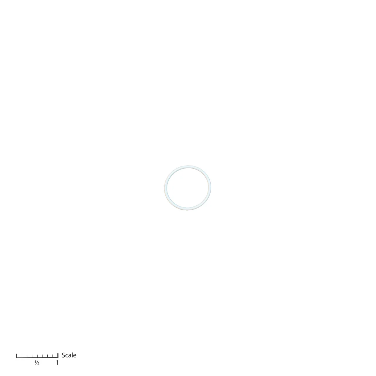 Teflon O-Ring