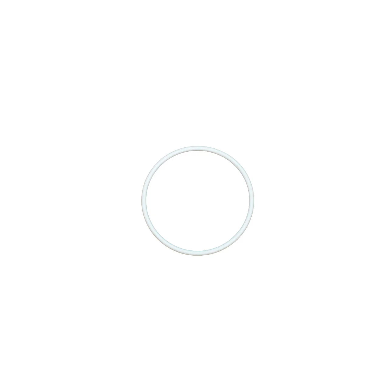 Teflon O-Ring - Image 2