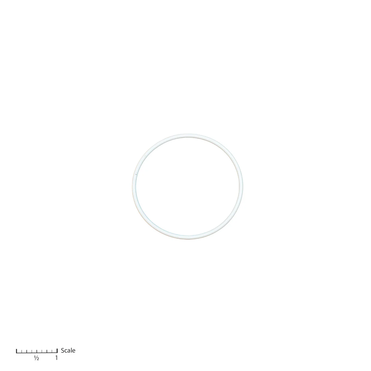Teflon O-Ring